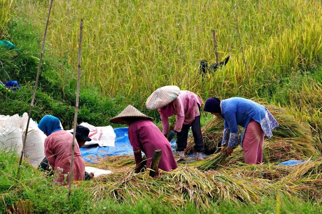 national kissan khady nigam)